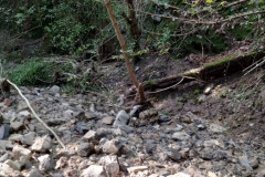2024 - Sopralluogo sul Gardellone dopo alluvione e taglio piante (11.09.2024)