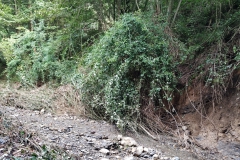 2024-09-11-Sopraluogo-sul-Gardello-dopo-alluvione-e-taglio-piante-16