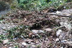 2024-09-11-Sopraluogo-sul-Gardello-dopo-alluvione-e-taglio-piante-17