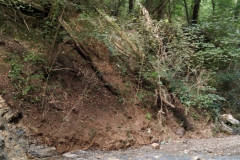 2024-09-11-Sopraluogo-sul-Gardello-dopo-alluvione-e-taglio-piante-18