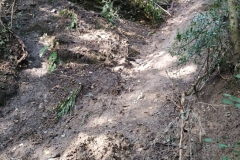 2024-09-11-Sopraluogo-sul-Gardello-dopo-alluvione-e-taglio-piante-2