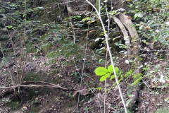 2024-09-11-Sopraluogo-sul-Gardello-dopo-alluvione-e-taglio-piante-20