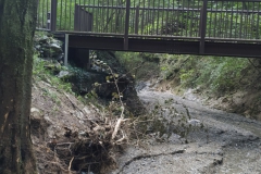 2024-09-11-Sopraluogo-sul-Gardello-dopo-alluvione-e-taglio-piante-22