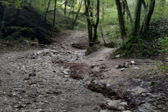 2024-09-11-Sopraluogo-sul-Gardello-dopo-alluvione-e-taglio-piante-25