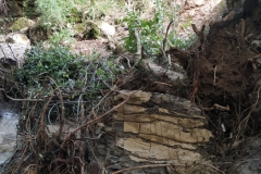 2024-09-11-Sopraluogo-sul-Gardello-dopo-alluvione-e-taglio-piante-27