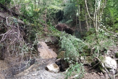 2024-09-11-Sopraluogo-sul-Gardello-dopo-alluvione-e-taglio-piante-28