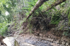 2024-09-11-Sopraluogo-sul-Gardello-dopo-alluvione-e-taglio-piante-30