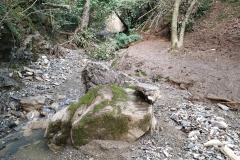 2024-09-11-Sopraluogo-sul-Gardello-dopo-alluvione-e-taglio-piante-31