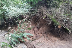 2024-09-11-Sopraluogo-sul-Gardello-dopo-alluvione-e-taglio-piante-33