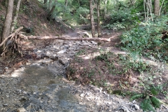 2024-09-11-Sopraluogo-sul-Gardello-dopo-alluvione-e-taglio-piante-37