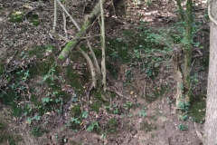 2024-09-11-Sopraluogo-sul-Gardello-dopo-alluvione-e-taglio-piante-39