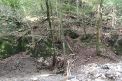 2024-09-11-Sopraluogo-sul-Gardello-dopo-alluvione-e-taglio-piante-41