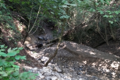 2024-09-11-Sopraluogo-sul-Gardello-dopo-alluvione-e-taglio-piante-45