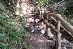 2024-09-11-Sopraluogo-sul-Gardello-dopo-alluvione-e-taglio-piante-46