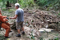 2024-09-11-Sopraluogo-sul-Gardello-dopo-alluvione-e-taglio-piante-47