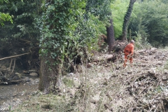 2024-09-11-Sopraluogo-sul-Gardello-dopo-alluvione-e-taglio-piante-48