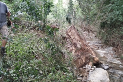 2024-09-11-Sopraluogo-sul-Gardello-dopo-alluvione-e-taglio-piante-49