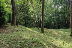 2024-08-01-Taglio-erba-Croce-del-Boscone-Baracca-3