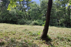 2024-08-01-Taglio-erba-Croce-del-Boscone-Baracca-4