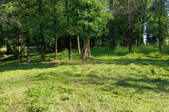 2024-05-18-Taglio-erba-in-sede-1