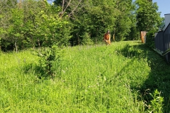 2024-05-18-Taglio-erba-in-sede-10