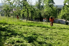 2024-05-18-Taglio-erba-in-sede-2