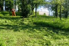 2024-05-18-Taglio-erba-in-sede-4