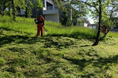 2024-05-18-Taglio-erba-in-sede-6