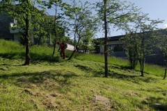 2024-05-18-Taglio-erba-in-sede-7
