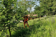2024-05-18-Taglio-erba-in-sede-8
