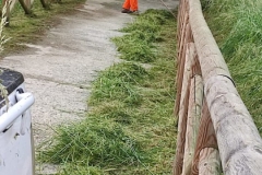 2024-05-17-Taglio-erba-Pista-dei-Mortini-14