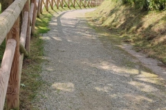 2024-05-17-Taglio-erba-Pista-dei-Mortini-16