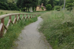 2024-05-17-Taglio-erba-Pista-dei-Mortini-5