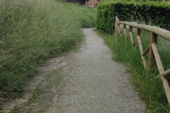 2024-05-17-Taglio-erba-Pista-dei-Mortini-6