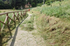 2024-05-17-Taglio-erba-Pista-dei-Mortini-7