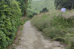 2024-05-17-Taglio-erba-Pista-dei-Mortini-9
