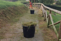 2024-07-26-Taglio-erba-pista-ciclabile-dei-Mortini-5