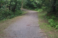 2024-06-26-Taglio-erba-pista-ciclabile-Valmarina-12