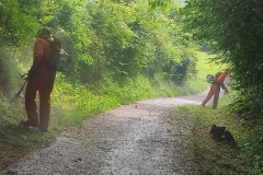 2024-06-26-Taglio-erba-pista-ciclabile-Valmarina-7