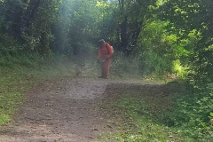 2024-06-26-Taglio-erba-pista-ciclabile-Valmarina-8