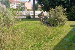 2024 - Taglio erba San Martino Vecchio  (17.07.2024)