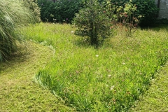 WhatsApp-Image-2024-07-17-at-14.47.12-2