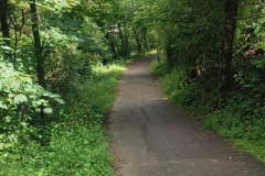 2024-05-22-Taglio-erba-sede-parco-dei-colli-e-pista-Valmarina-10