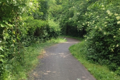 2024-05-22-Taglio-erba-sede-parco-dei-colli-e-pista-Valmarina-15