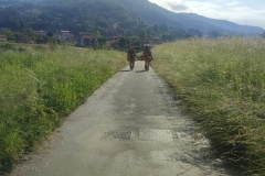 2024-05-22-Taglio-erba-sede-parco-dei-colli-e-pista-Valmarina-18