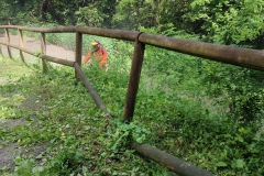 2024-05-22-Taglio-erba-sede-parco-dei-colli-e-pista-Valmarina-2