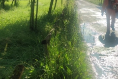 2024-05-22-Taglio-erba-sede-parco-dei-colli-e-pista-Valmarina-20