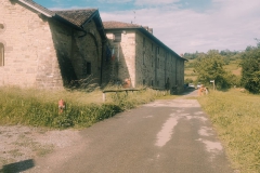 2024-05-22-Taglio-erba-sede-parco-dei-colli-e-pista-Valmarina-21