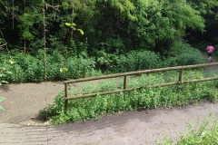 2024-05-22-Taglio-erba-sede-parco-dei-colli-e-pista-Valmarina-4