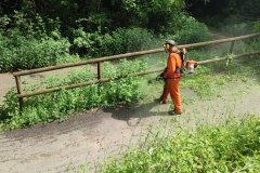 2024-05-22-Taglio-erba-sede-parco-dei-colli-e-pista-Valmarina-7